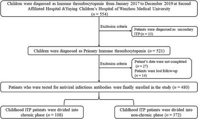 Chronic Pediatric Immune Thrombocytopenia Is Not Associated With Herpes Virus Infection Status